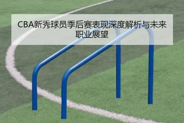 CBA新秀球员季后赛表现深度解析与未来职业展望